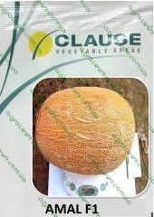 Диня Амал AMAL F1 5000н., фото 1