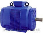 Електродвигун 4АМН 225 M2 90 кВт 3000 об./хв 4АМН АМН 5АМН 4АМНУ 225 M2 Ел.двигун