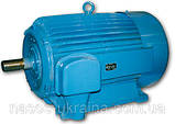 Електродвигун 4АA 56 B4 0.18 кВт/1500об/хв, фото 2