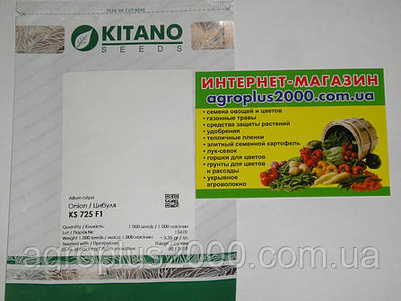 Насіння Лук білий ріпчастий KS 725 F1, 1000 cем'ян Kitano Seeds, фото 3