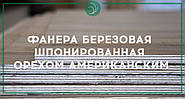 На нашому складі з'явилася шпонована фанера березова Горіхом Американським 19 мм