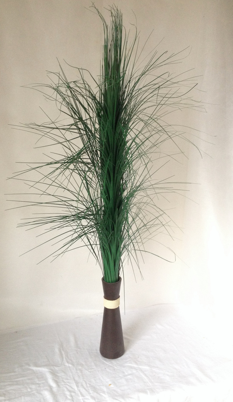 Осока, великий Фонтан, висота 110 см, заливка трава, фото 1