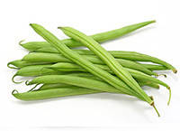 Квасоля.Квасоля спаржева.