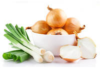 Цибуля ріпчаста