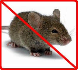 Родентициди