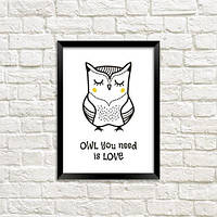 Постер в рамке Owl you need is love (WMT5_ART060_WH)