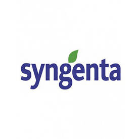 Насіння ріпаку Syngenta (Сингента)