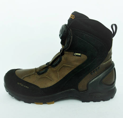 ecco biom terrain