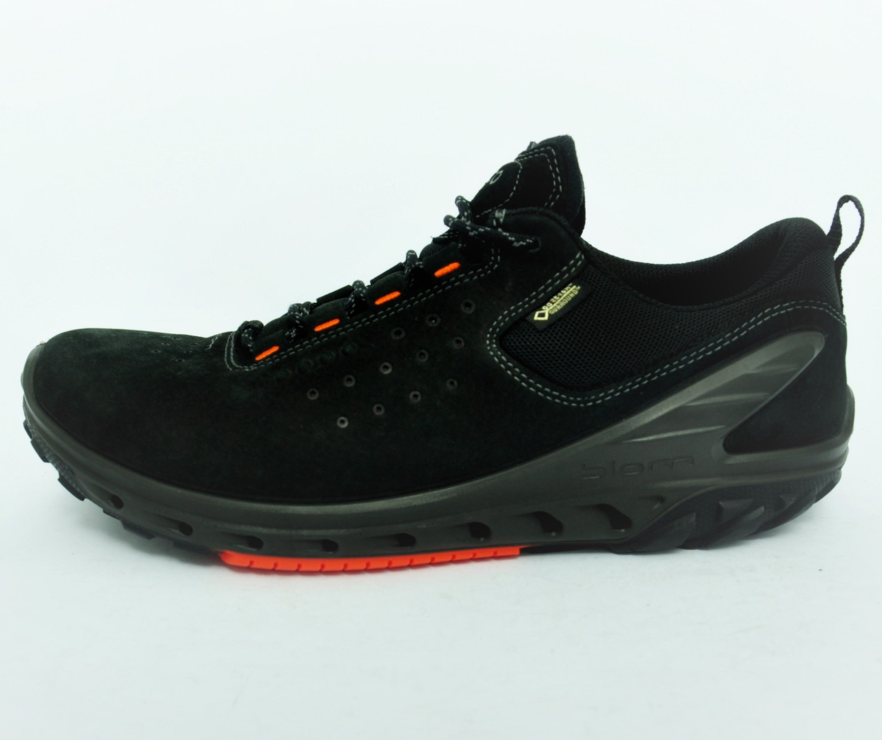 biom venture ecco