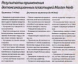 Пластир для стоп детоксикаційний Master Herb, фото 10