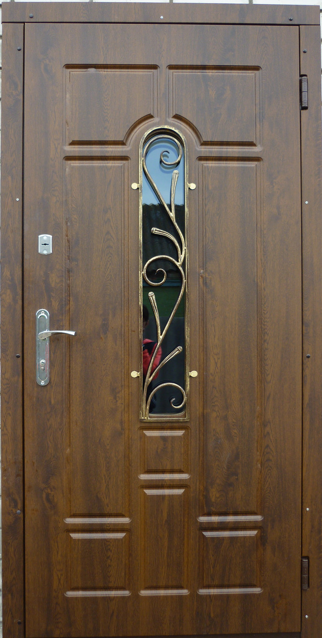Двери входные с стеклопакетом и ковкой - фото 1 - id-p459660