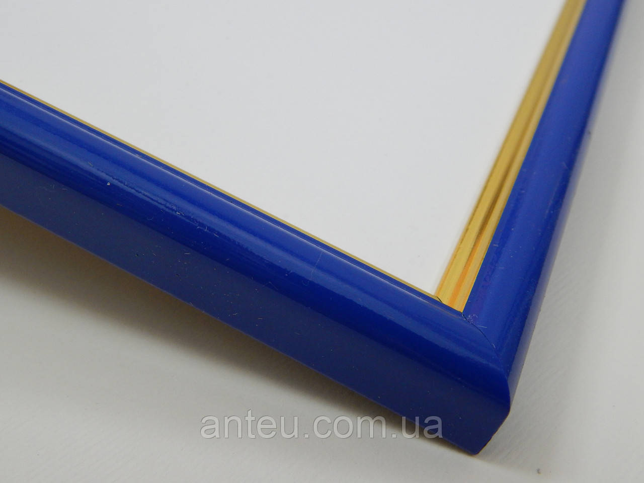 Рамка А4 (210х297).Рамка пластикова 14 мм. Синій із золотою окантовкою