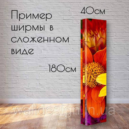 Ширма "Стильна дівчина", фото 3