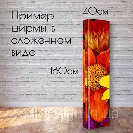 Ширма "Стильна дівчина", фото 2