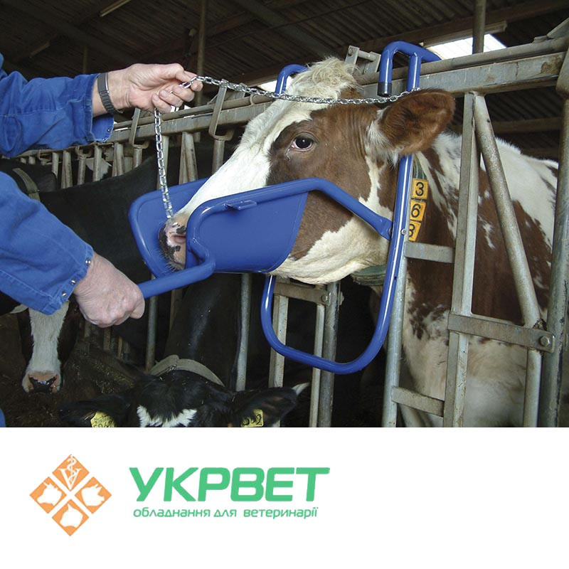 Підйомник для голови ВРХ, Vink