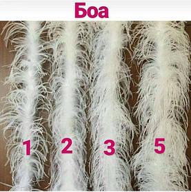 Боа з пір'я страуса, індика