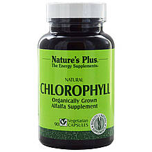 Натуральний хлорофіл, 90 рослинних капсул Nature's Plus