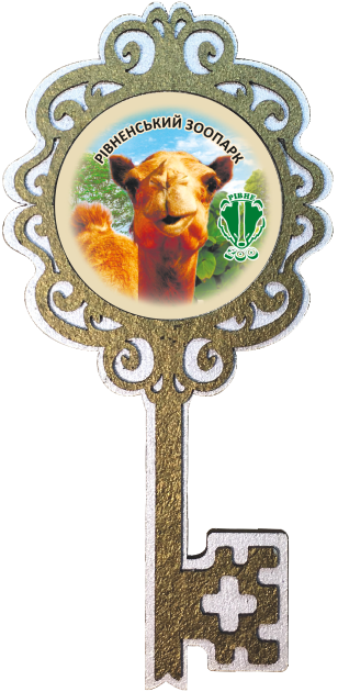 Магніт ключик. "Рівненський Зоопарк" (верблюд), фото 1