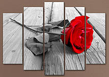 Модульна картина «Червона троянда на сірому», квіти