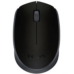 Мишка Logitech M171 Black, фото 1