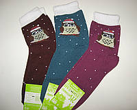 Махровые женские носки Сова №3 (набор 3шт)