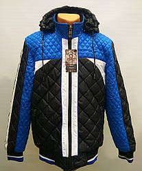 Куртка чоловіча Danger єврозима чорно-синьо-біла