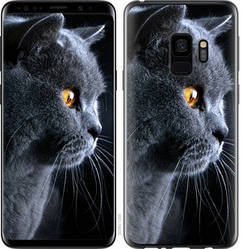 Чохол на Samsung Galaxy S9 Красивий кіт "3038c-1355-15886"