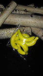 Банани штучні, пінопласт, 6.5см, 6 шт\уп., 25/20 грн (ціна за 1 шт.+5 грн.), фото 6