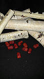 Годжі - пластикові ягоди, h-2.5cm, 10 шт\уп., 20 грн, фото 5