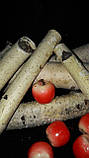 Яблучка - муляж з пінопласту, h-4 см 50 шт\уп., 125 грн, фото 7