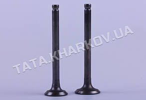 50CC4T — клапан впуск.+випуск. Premium