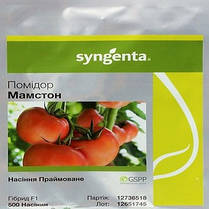 Насіння томату «Мамстон F1» (Mamston F1) 500 шт., фото 3