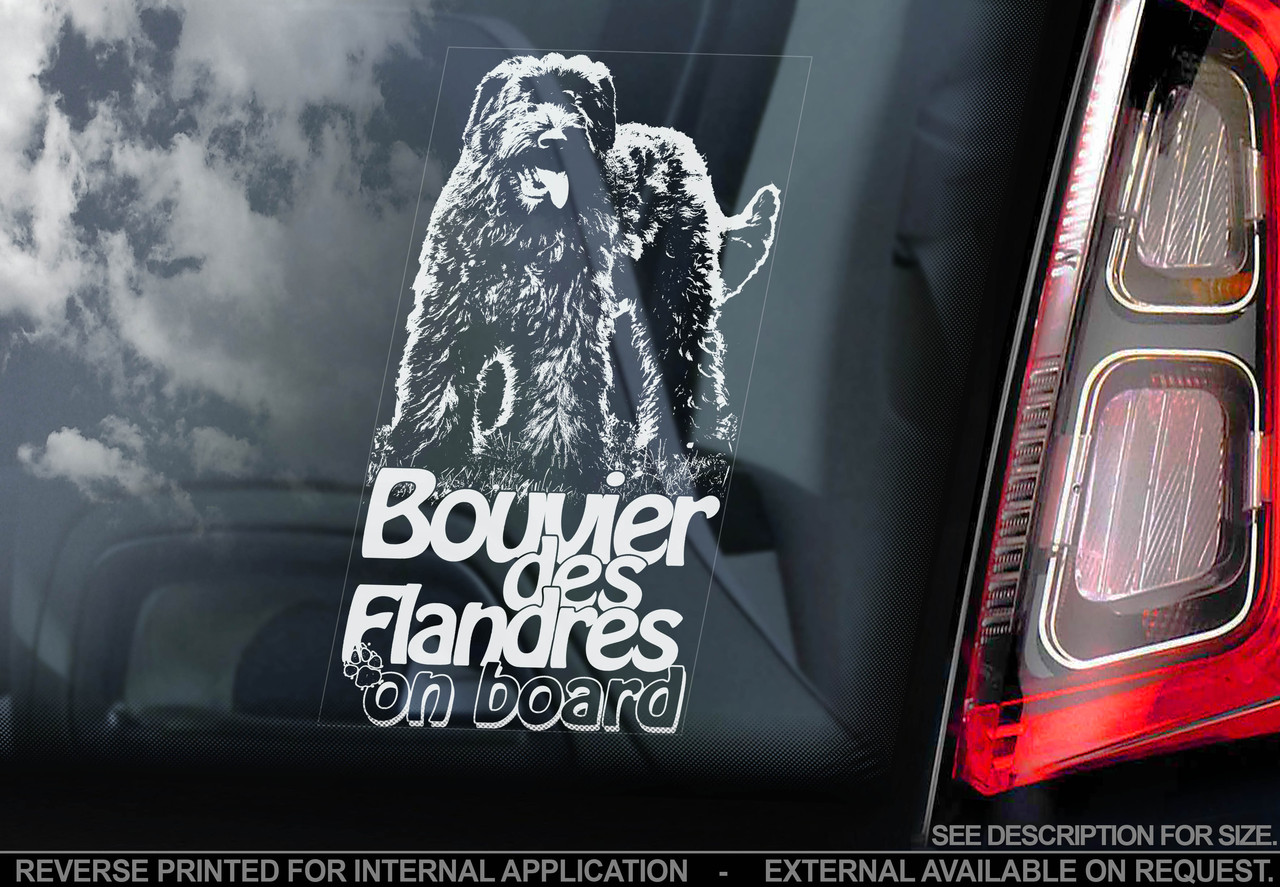 Фландське був'яте стикер, фото 1