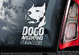 Аргентинський Дог стикер, фото 2
