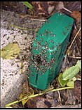 Ефективне Засіб від мурах Terro. Зовнішні мурахи приманки. Дюнт Ant, фото 8