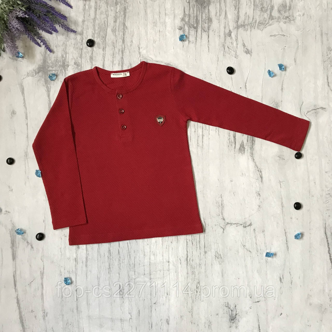 Реглан на хлопчика Breeze 21. Розмір 110 см, 116 см, 128 см