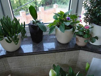 Підвіконня гранітні 1000х300х20