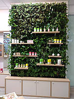 Фіто стіна, Фитостена, вертикальне озеленення, зелена стіна