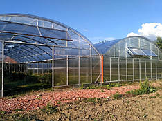 Теплиця 20*25*4,5м для розсадника, в с. Вишка над Житавою, Словаччина