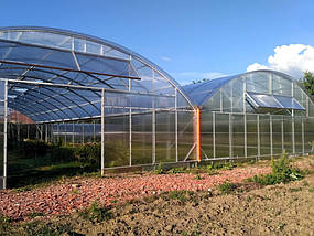 Теплиця розміром 20*25*4,5м в торцях має два великі вікна та вікна по даху конструкції. Накрита полікарбонатом 10мм.