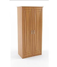 Шафа дводверна односекційна з ДСП/МДФ сузір'я Летро