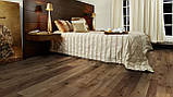 Ламінат Дуб Фарко Елеганс, фото 3