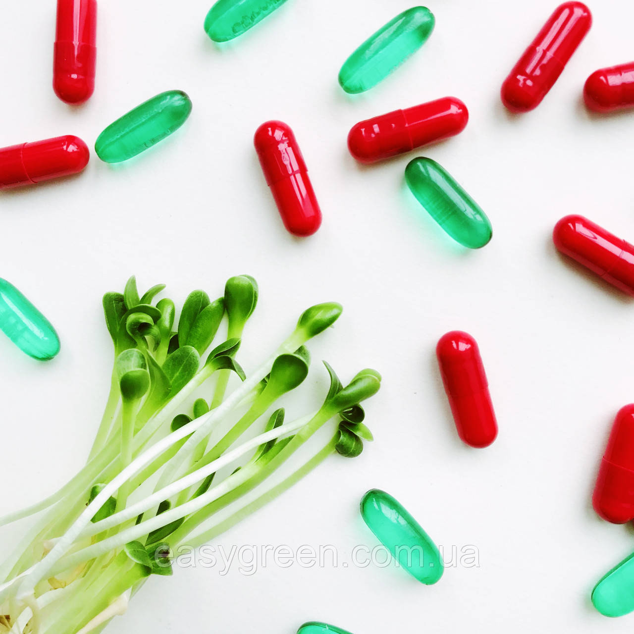 РОЗТОРОПША  паростки  Sadovе, проросле насіння розторопші 25 г, фото 1