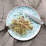 Паростки ПШЕНИЦІ Wheatgrass Sadovе 50 г, фото 4