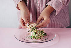 ЛЮЦЕРНА Мікрозелень, насіння люцерни органічної для пророщування 90 грам