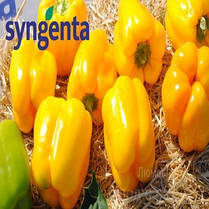 ЛУМОС F1 / LYUMOS F1, 500 насінин — перець солодкий, Syngenta, фото 2