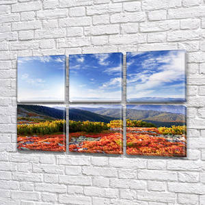 Модульні картини в спальню на Полотні, 72x110 см, (35x35-6)
