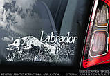 Лабрадор стикер, фото 2