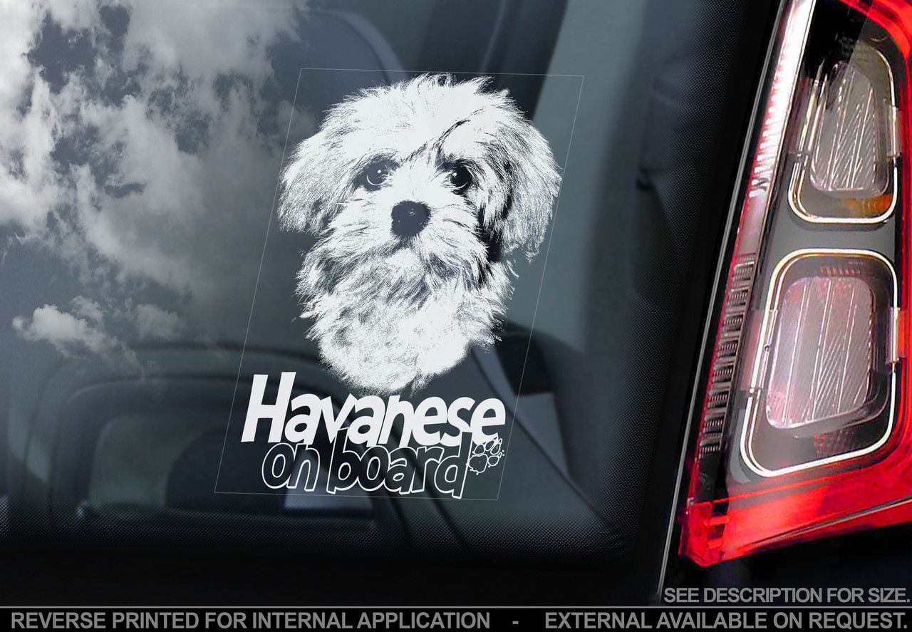 Лхаса Апсо (Лхаський Апсо) (Тибетський Тер'єр) (Lhasa Apso) стикер, фото 1