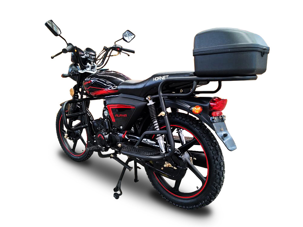Мотоцикл HORNET Alpha (LUX) 125куб.см, черный - фото 5 - id-p675064699